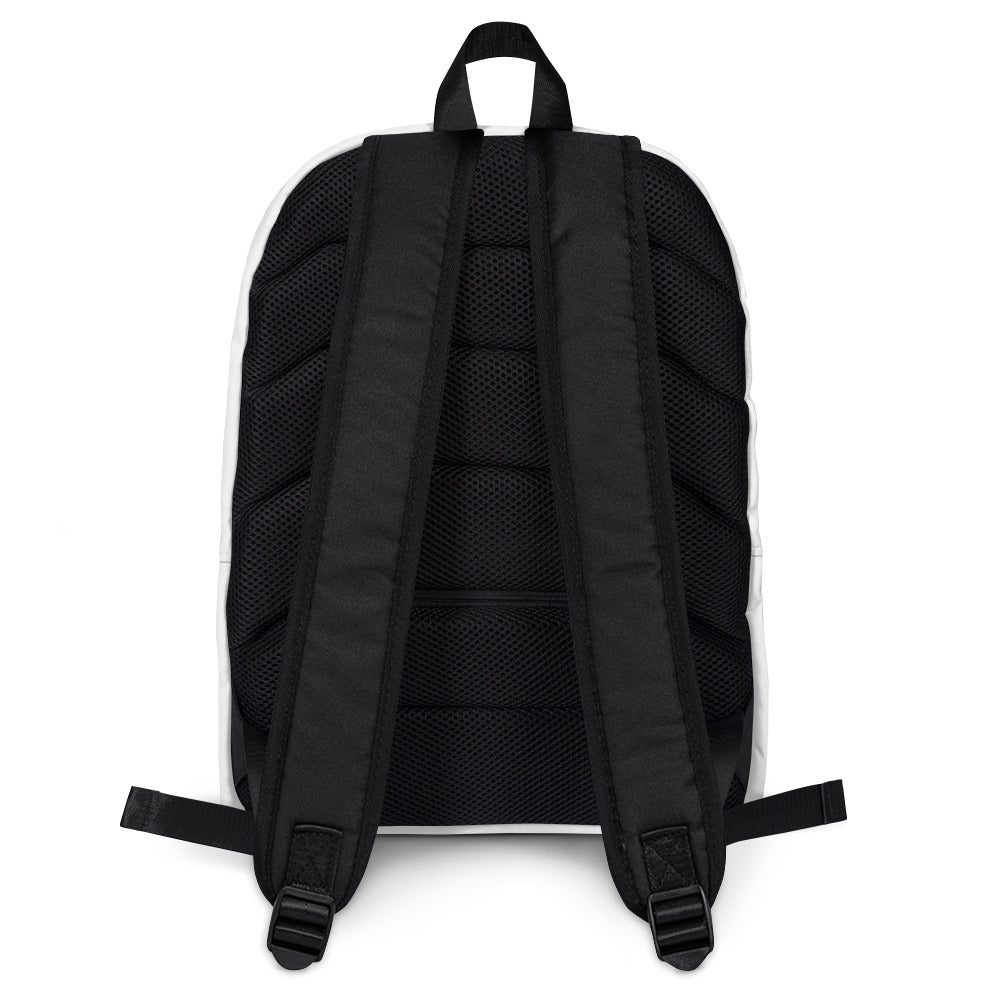 Filecoin Distributed Backpack