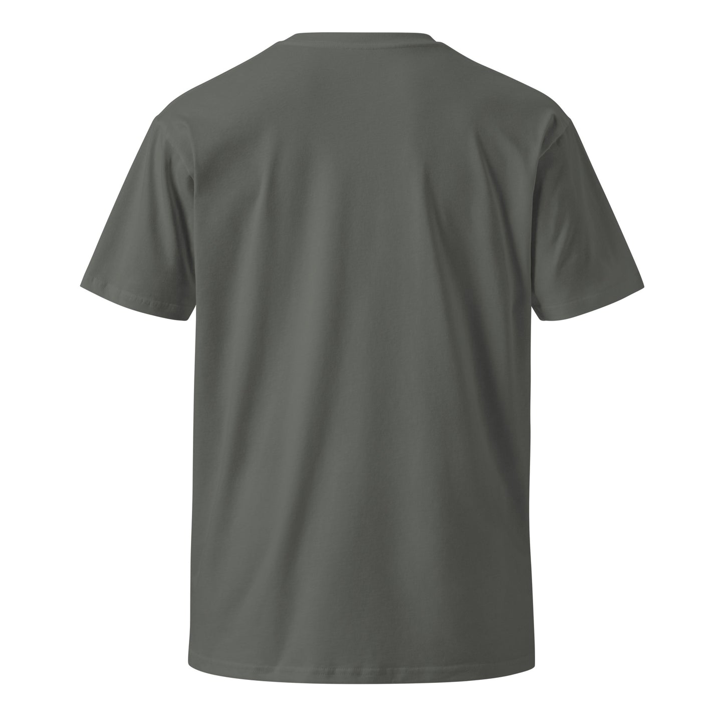 Decentralize Unisex premium t-shirt 24