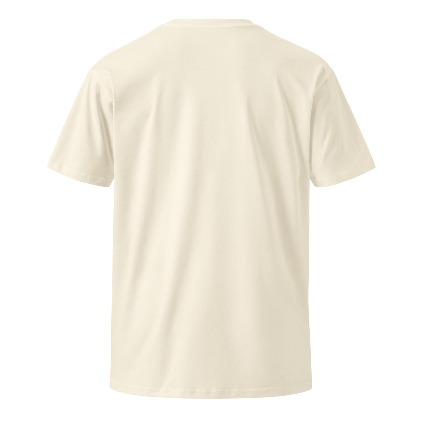 Decentralize Unisex premium t-shirt 24